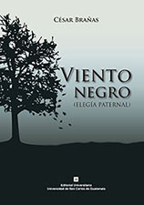 Logo Viento negro